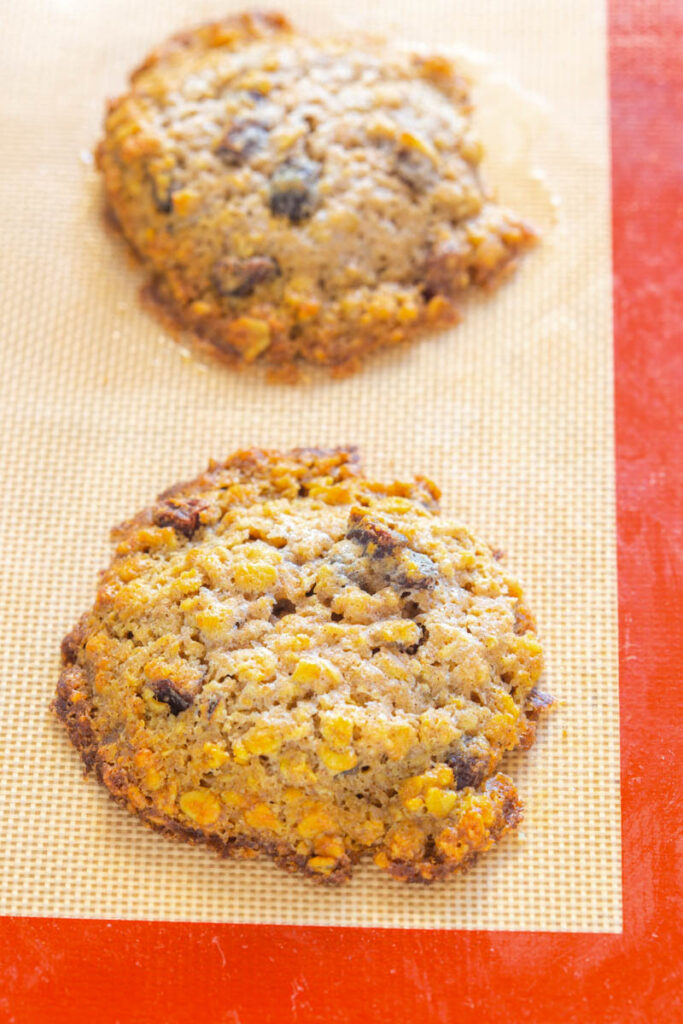 baked sugar free oatmeal raisin cookies on a cookie sheet