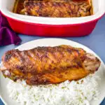 baked turkey wing with white rice
