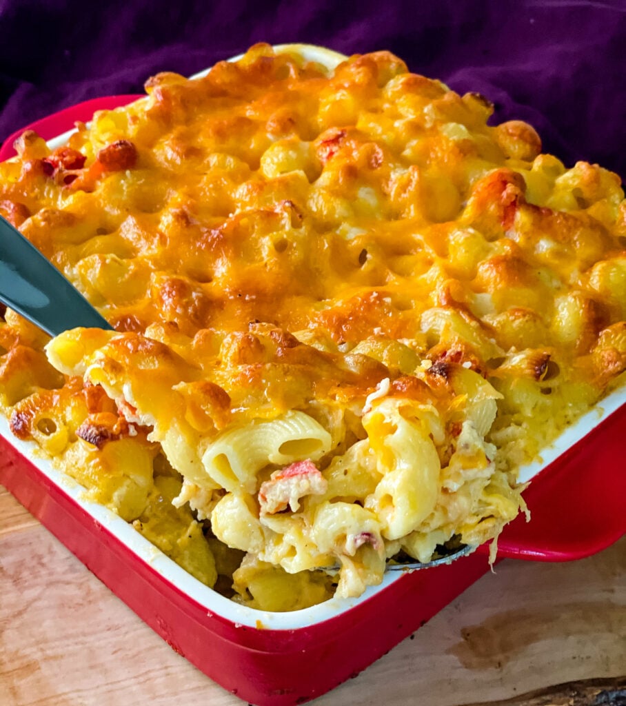 a large spoonful of lobster mac and cheese