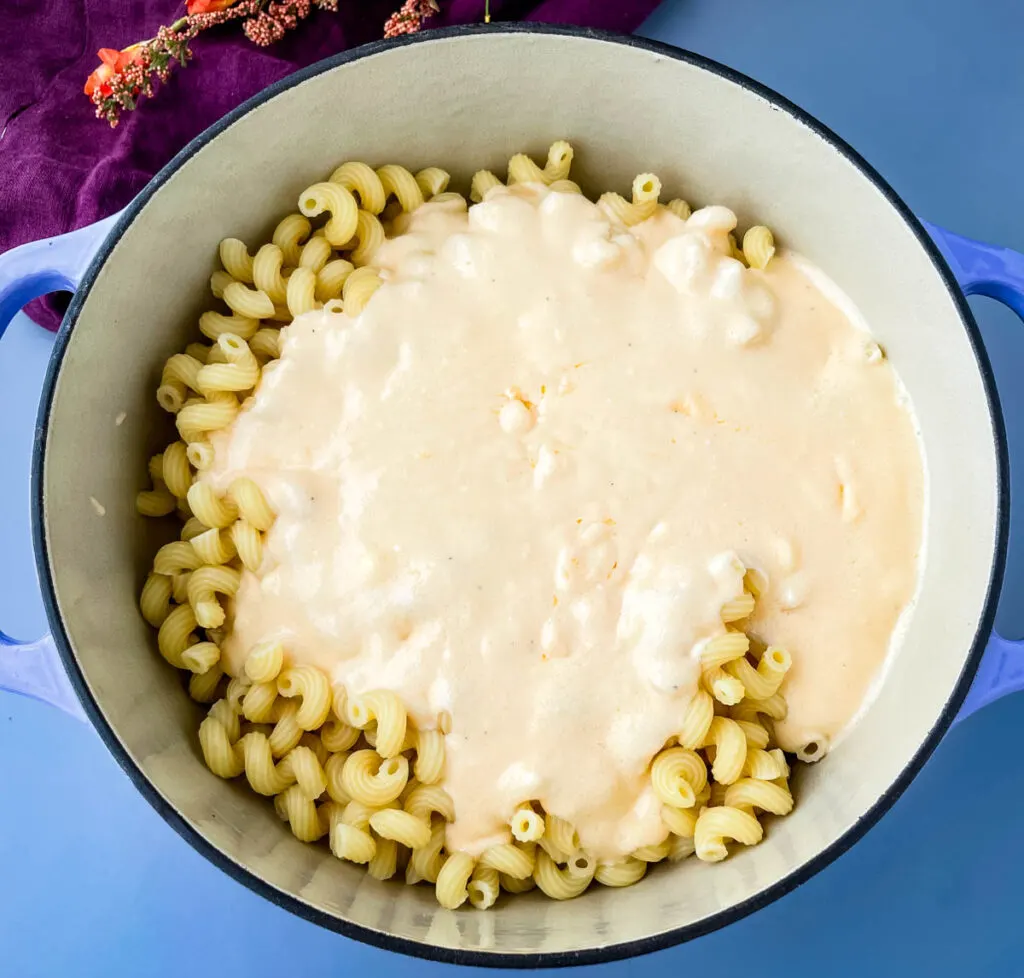 cooked pasta in a Dutch oven with mac and cheese cream sauce