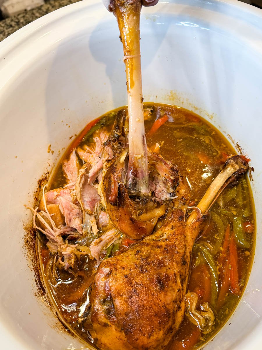 person holding a fall off the bone turkey leg