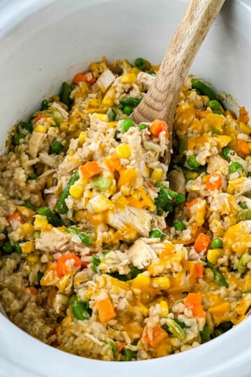 crockpot-chicken-and-rice-poster-image