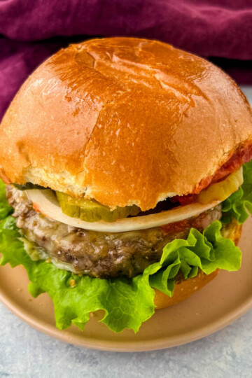 cropped-air-fryer-frozen-burgers-recipe-6-1.jpg