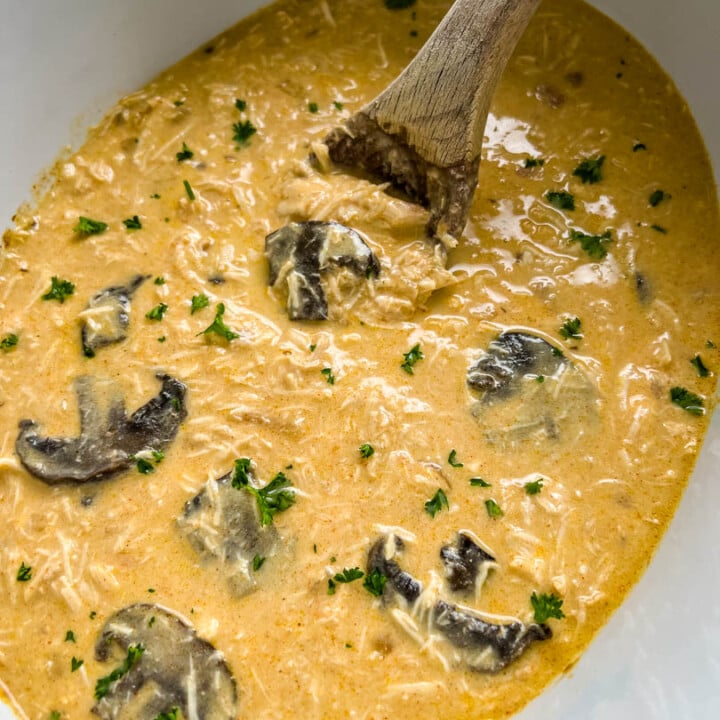 Easy Slow Cooker Chicken Stroganoff + {VIDEO}