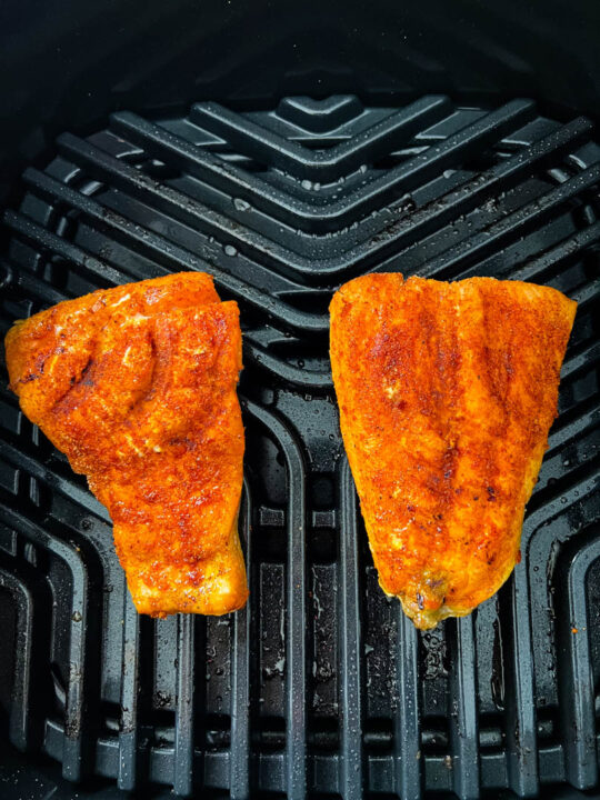 Ninja Foodi Grill Salmon