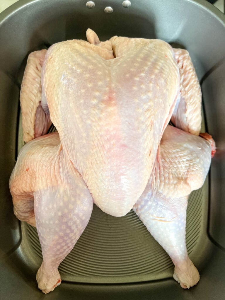 raw spatchcoked turkey in a pan