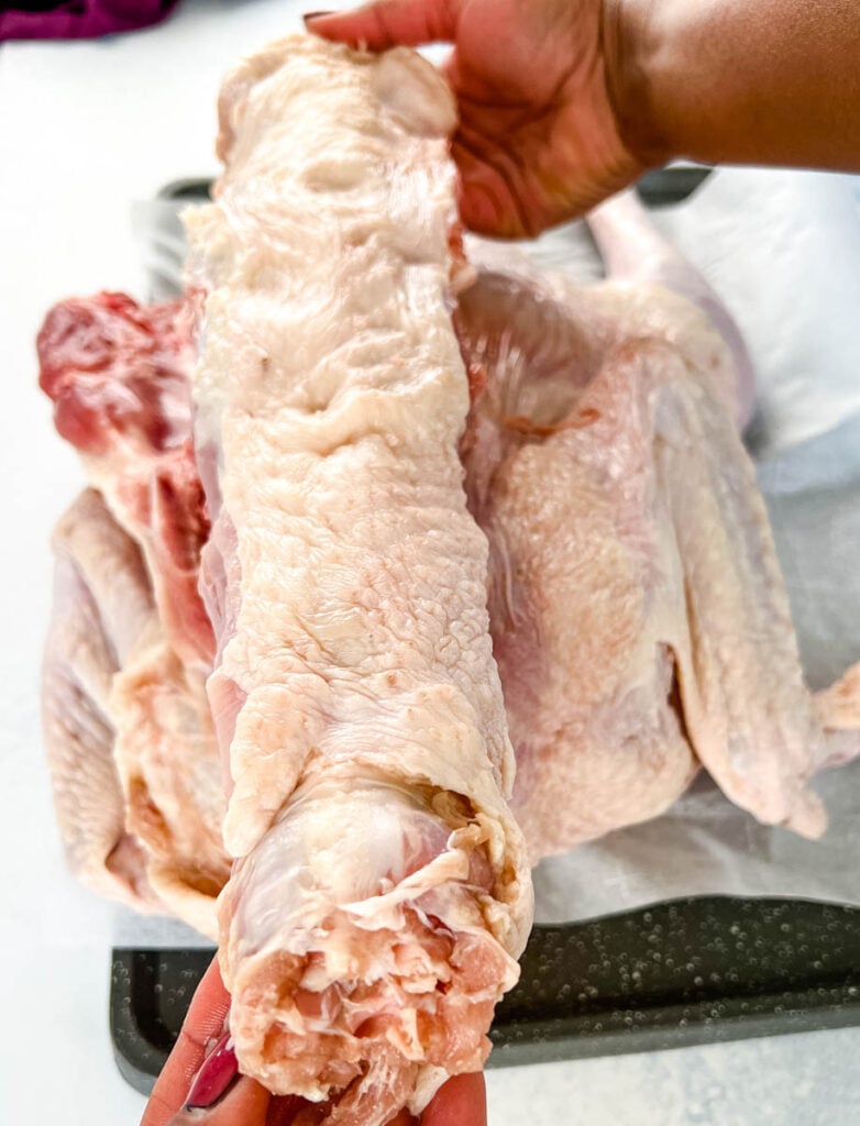 person holding turkey backbone