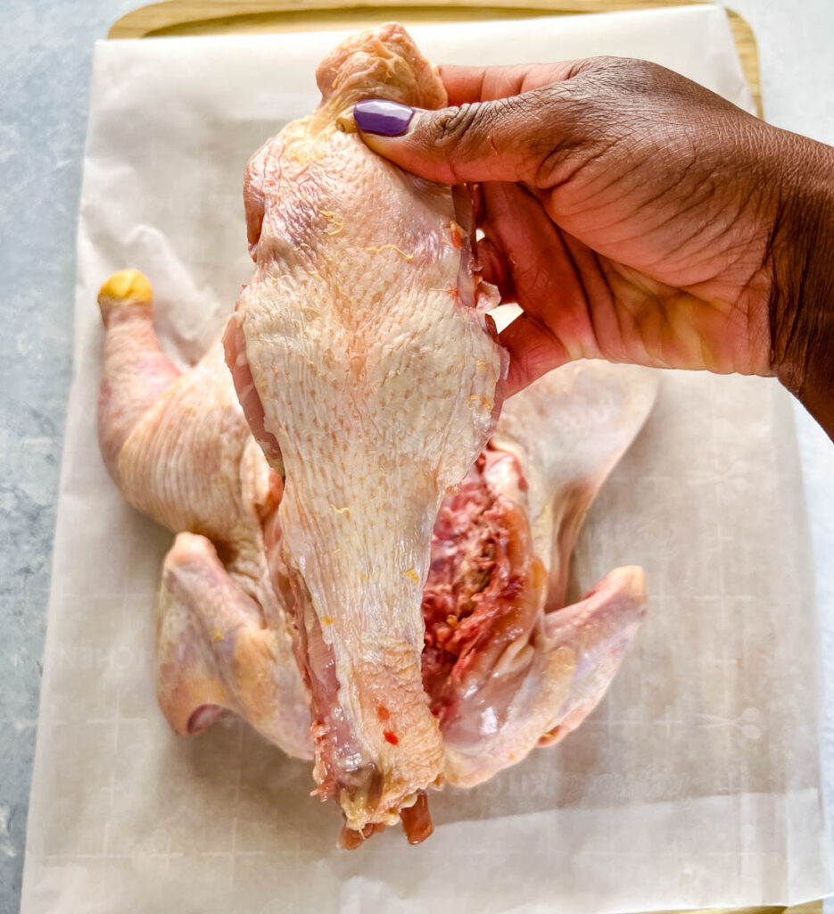 person holding backbone of chicken