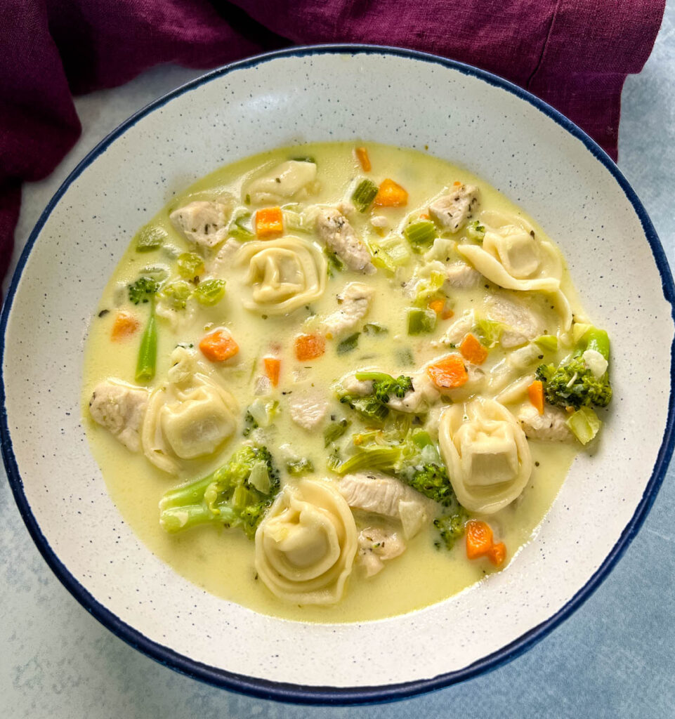 chicken Alfredo soup in a white bowl