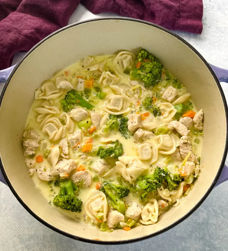 chicken Alfredo soup in a large Dutch oven pot
