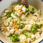 chicken Alfredo soup in a large Dutch oven pot