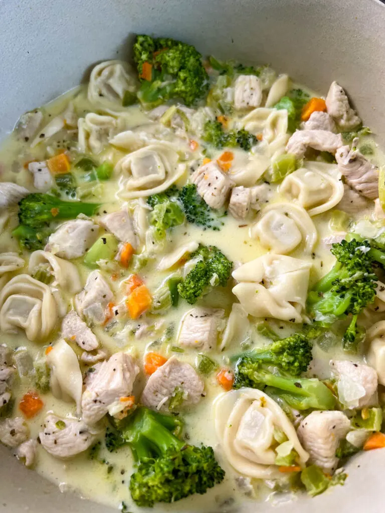 chicken Alfredo soup in a large Dutch oven pot