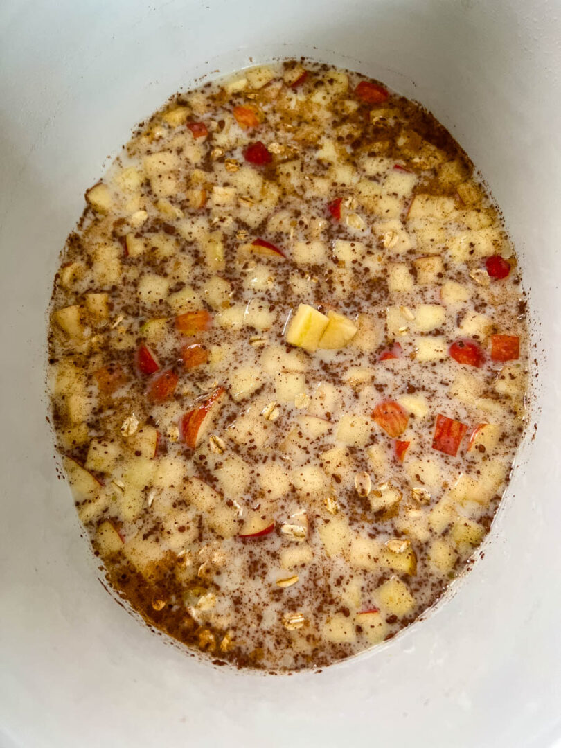 Slow Cooker Crockpot Apple Oatmeal (Steel Cut or Rolled Oats)