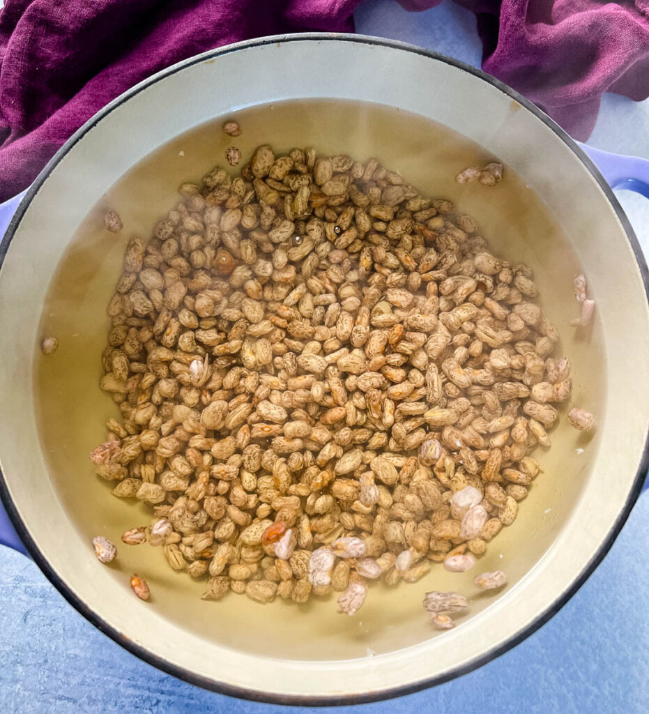 pinto beans and water in a Dutch oven