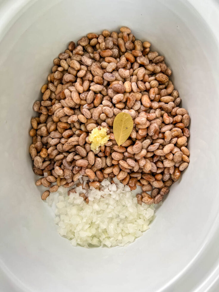 Slow Cooker Crockpot Pinto Beans with Smoked Turkey