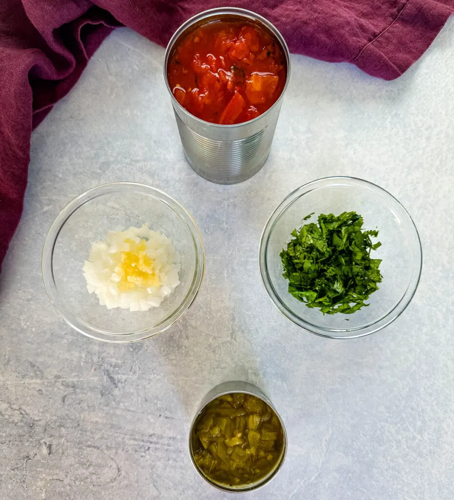 fire roasted tomatoes, cilantro, onions, garlic, and green chilies in separate bowls