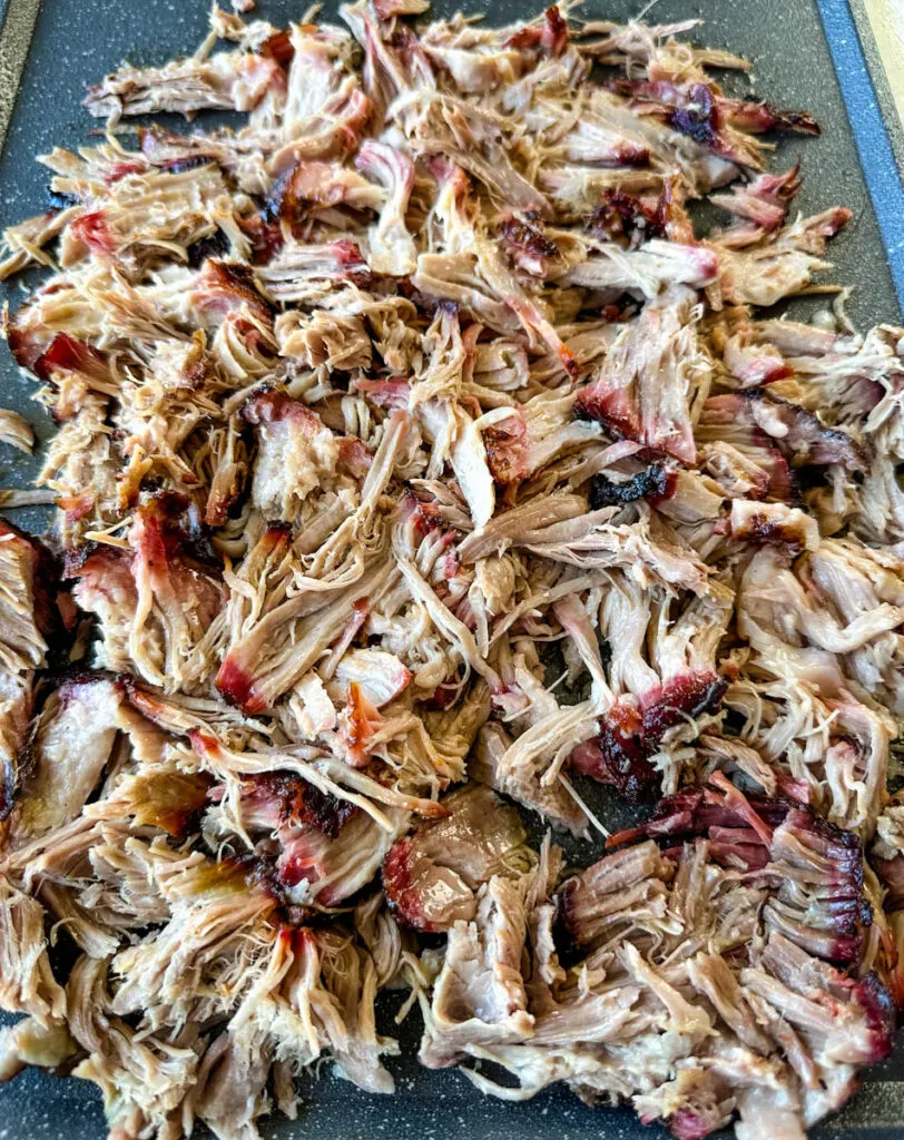 smoked pulled pork drizzled in BBQ sauce on a plate