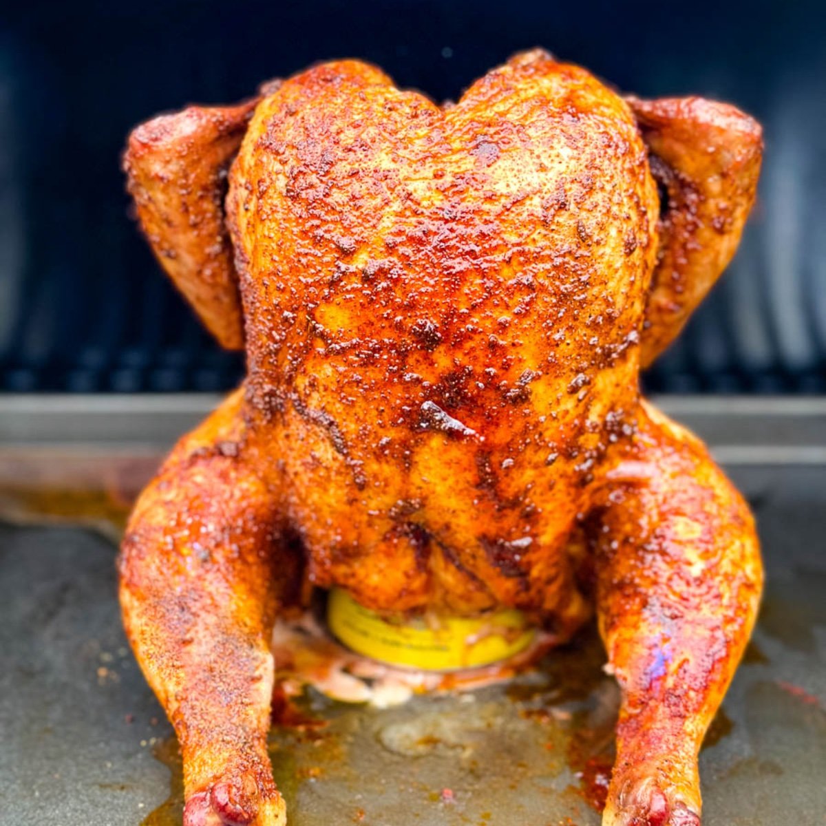 Buy the Outset Cast Iron Beer Can Chicken and Garlic Roaster