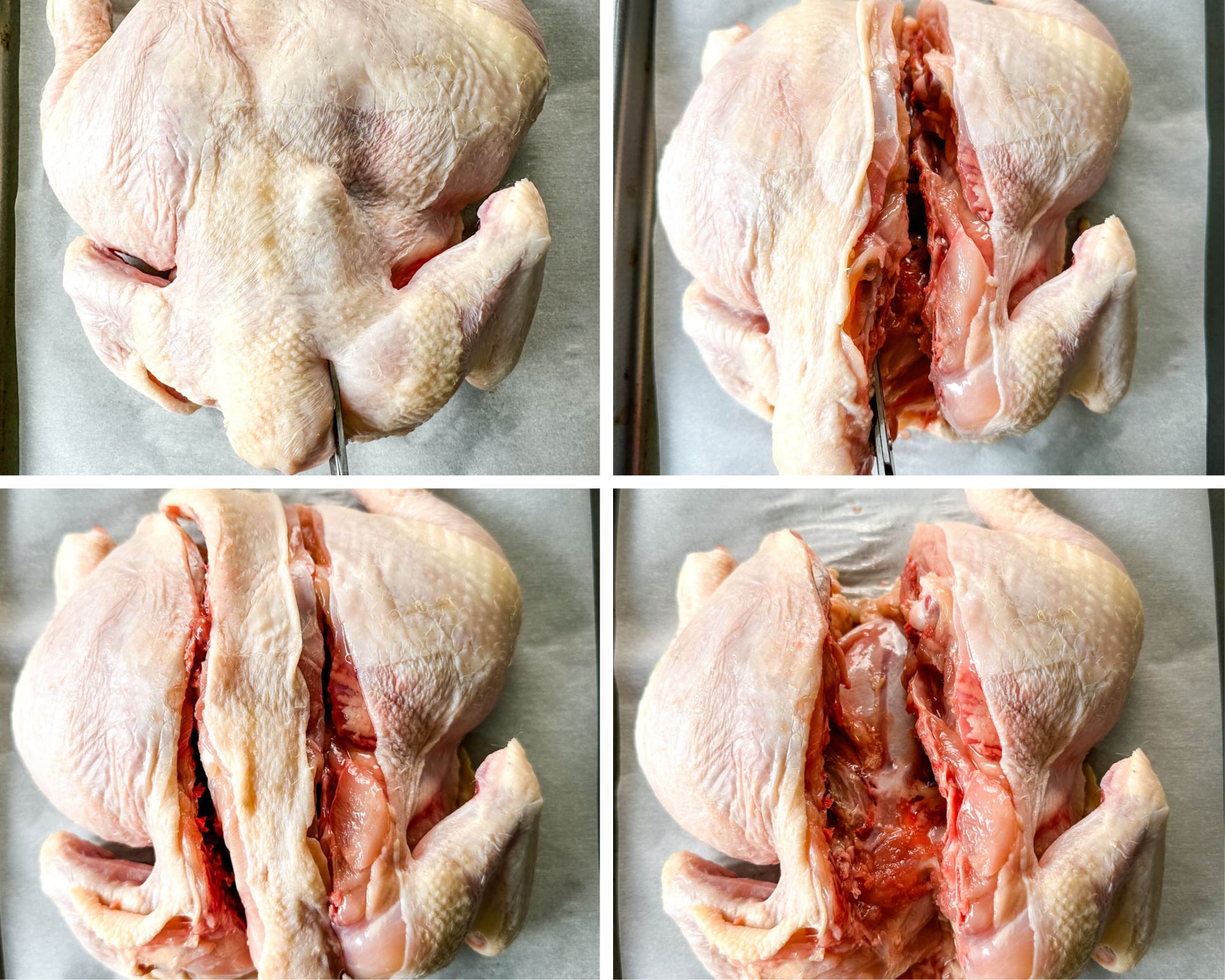 collage of 4 photos demonstrating how to remove the backbone from a chicken