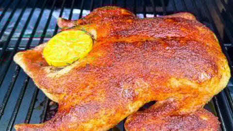 Traeger duck clearance