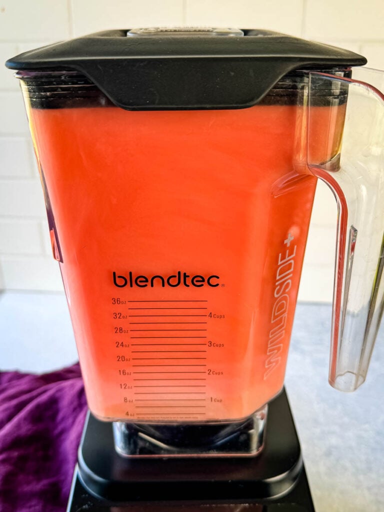 watermelon water in a blender