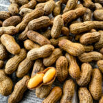 Cajun boiled peanuts on newspaper