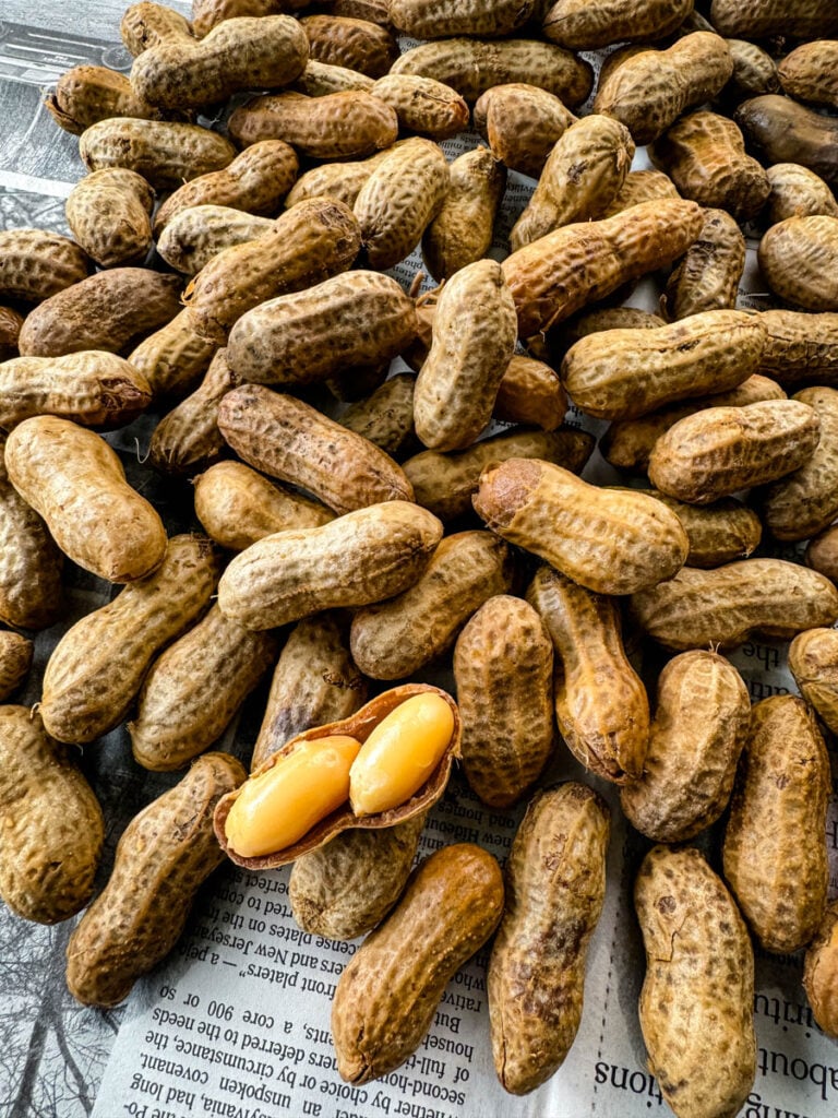 Cajun boiled peanuts on newspaper