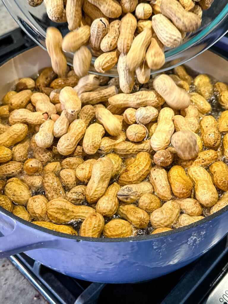 raw peanuts and water in a Dutch oven