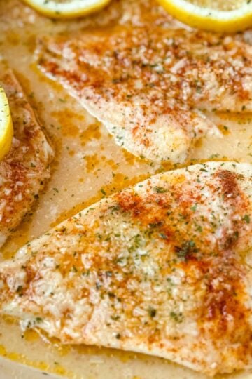 Alternate angle of garlic Parmesan baked flounder fillets in a white baking dish with lemon rounds and herbs on top.