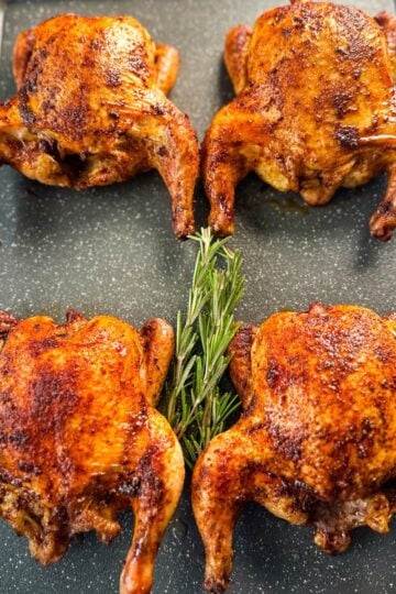 Four golden-brown baked Cornish hens arranged on a black roasting pan, garnished in the center with a sprig of fresh rosemary.