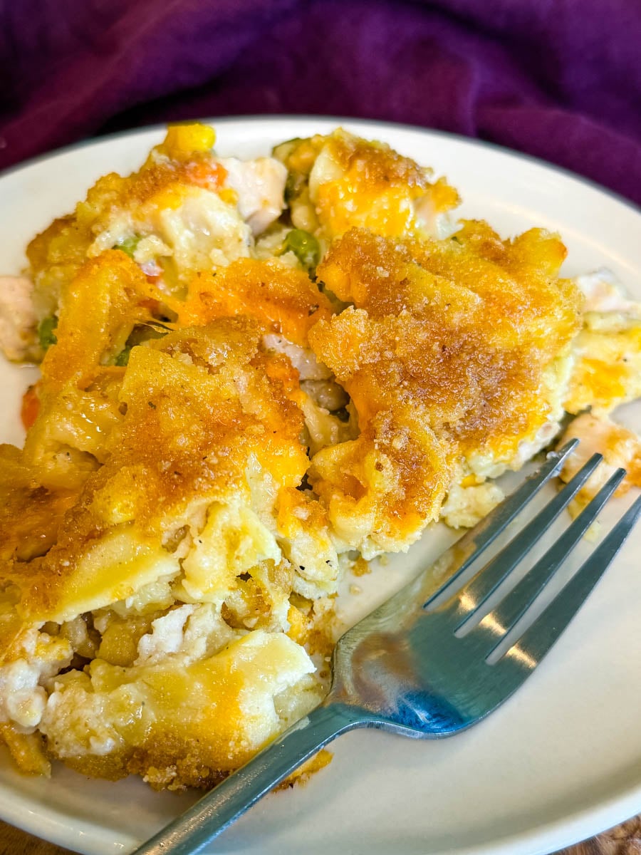 Close-up of creamy chicken noodle casserole with tender noodles, chicken, mixed vegetables, melted cheddar cheese, and a crispy golden breadcrumb topping.