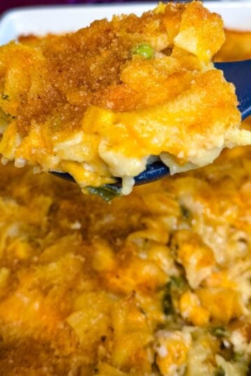 Close-up of creamy chicken noodle casserole with tender noodles, chicken, mixed vegetables, melted cheddar cheese, and a golden breadcrumb topping served on a spoon.