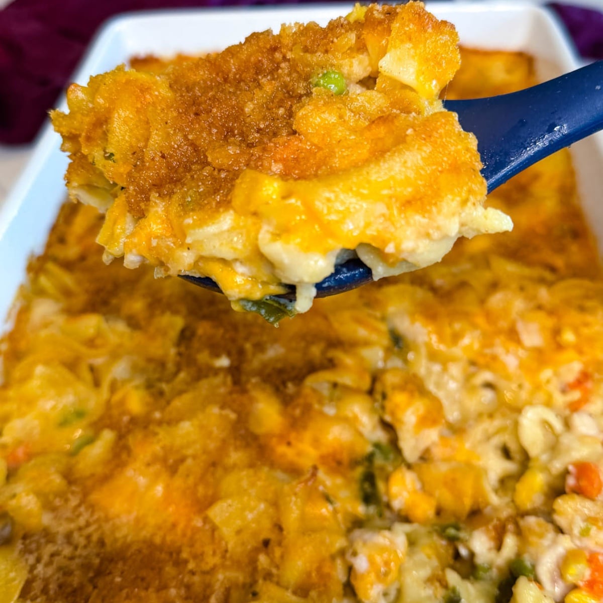 Close-up of creamy chicken noodle casserole with tender noodles, chicken, mixed vegetables, melted cheddar cheese, and a golden breadcrumb topping served on a spoon.