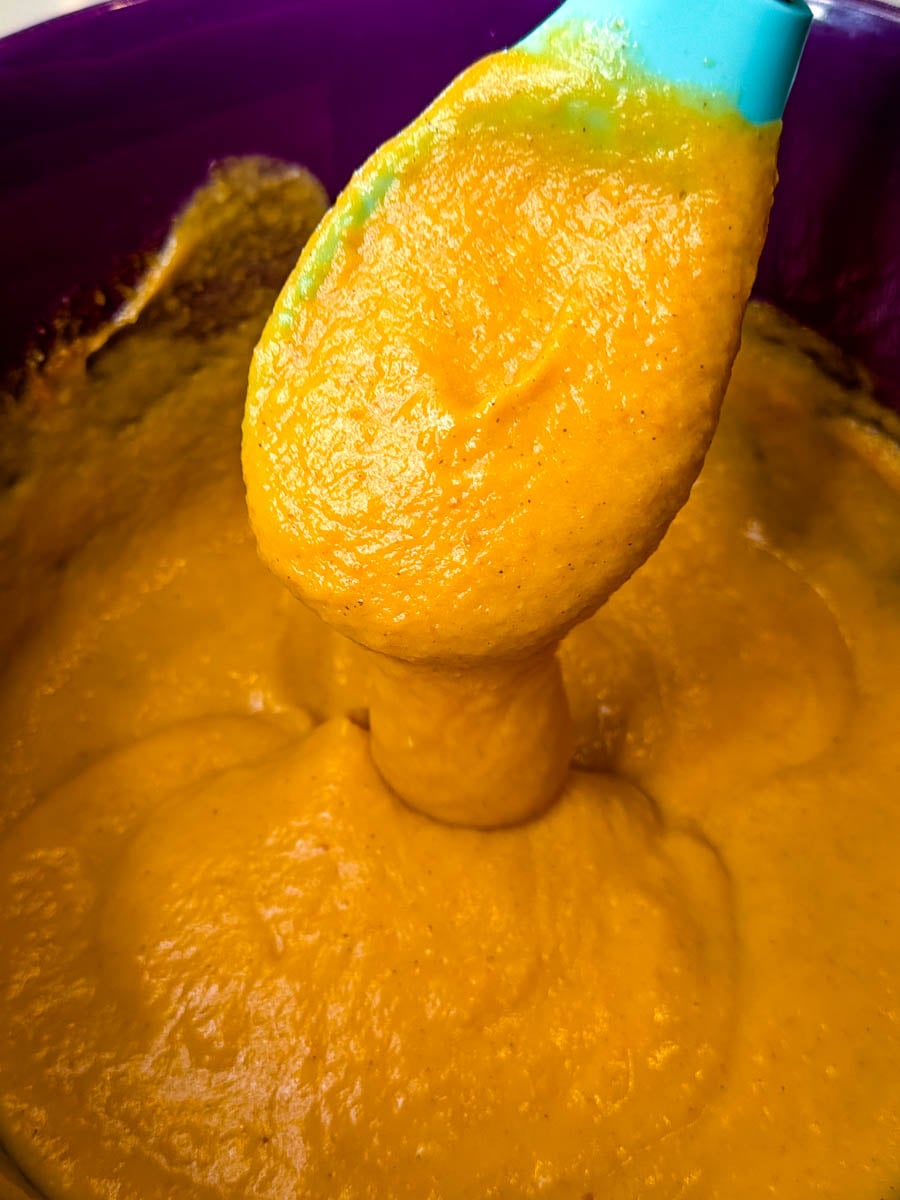 pumpkin pie dip drizzled in a bowl