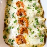 Creamy shrimp enchiladas topped with melted white cheese, seasoned shrimp, and fresh chopped cilantro in a baking dish.