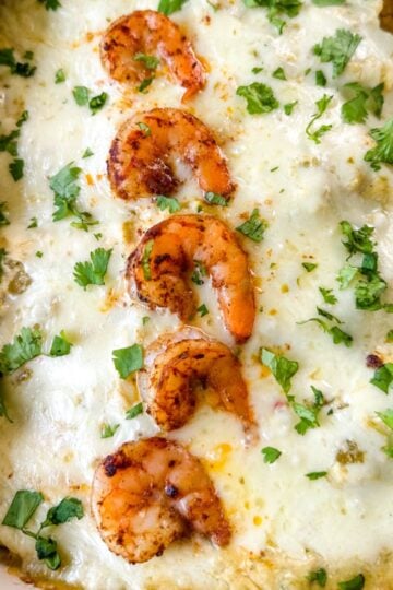 Creamy shrimp enchiladas topped with melted white cheese, seasoned shrimp, and fresh chopped cilantro in a baking dish.